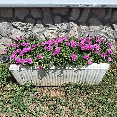 芭比度假屋 * 沃迪切