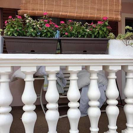 芭比度假屋 * 沃迪切