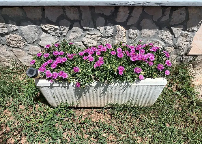 Barbie * וודיצה